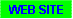 Go to my web site.